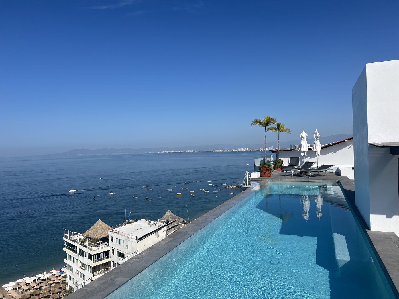 The rooftop pool